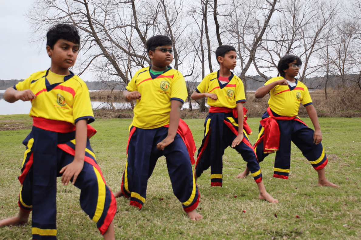 cultural festival activities
